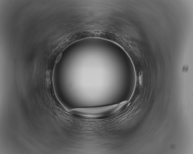 X0000095901347200801111200