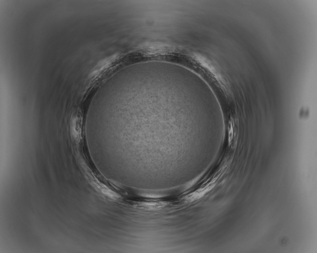 X0000095901348200801111200