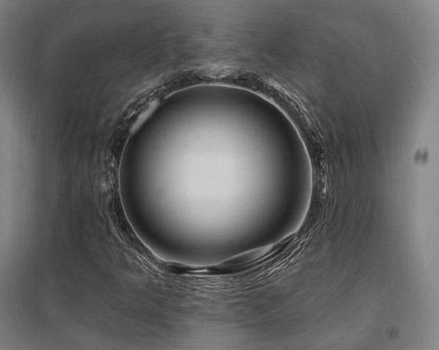 X0000095901349200801111200