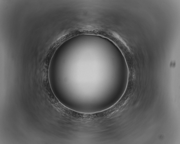 X0000095901350200801111200
