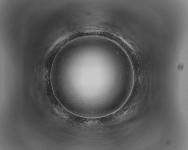 X0000095901351200801111200