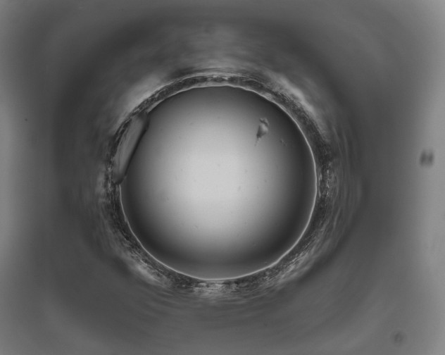 X0000095901352200801111159