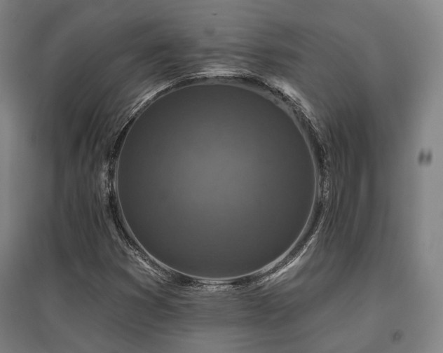 X0000095901353200801111159