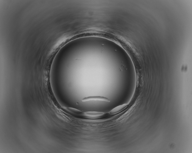 X0000095901355200801111159