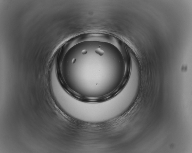 X0000095901356200801111159