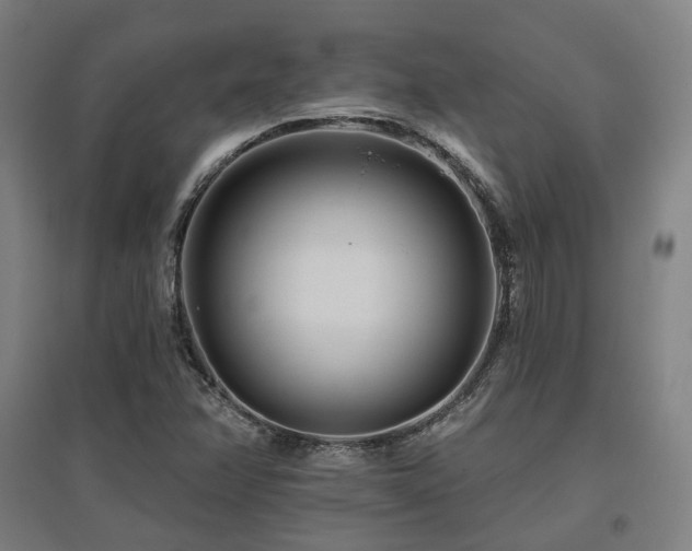 X0000095901358200801111159