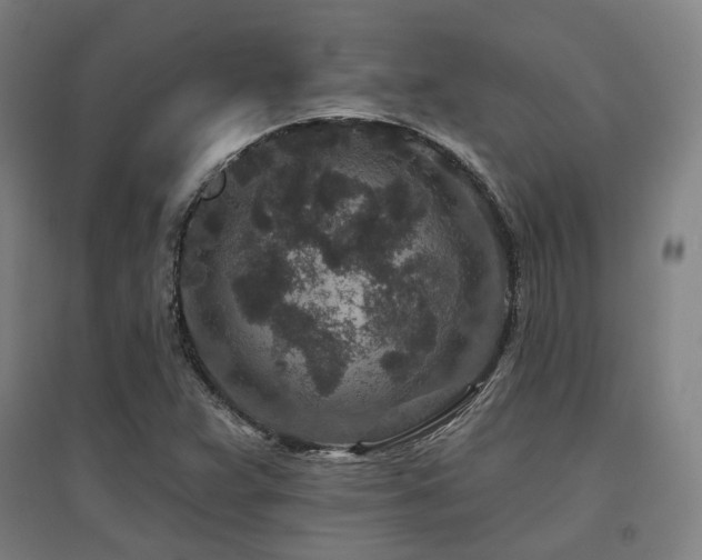 X0000095901359200801111159