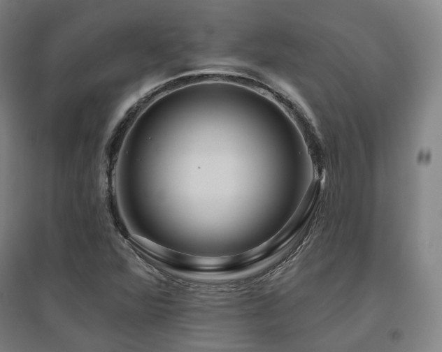 X0000095901360200801111159