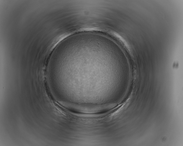 X0000095901361200801111159