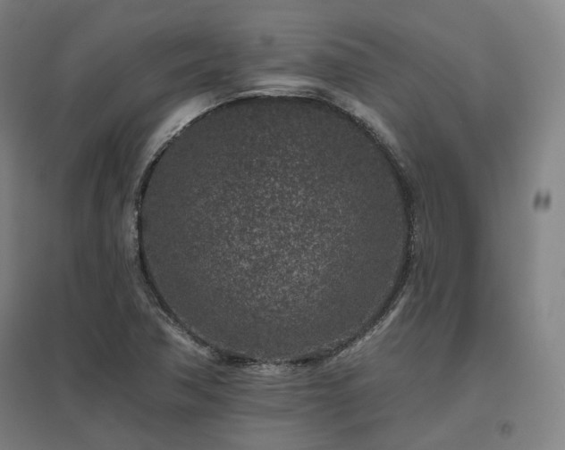X0000095901362200801111159