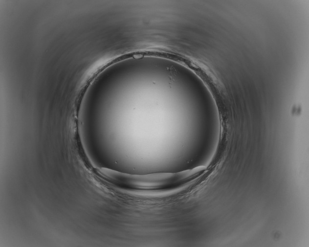 X0000095901363200801111159