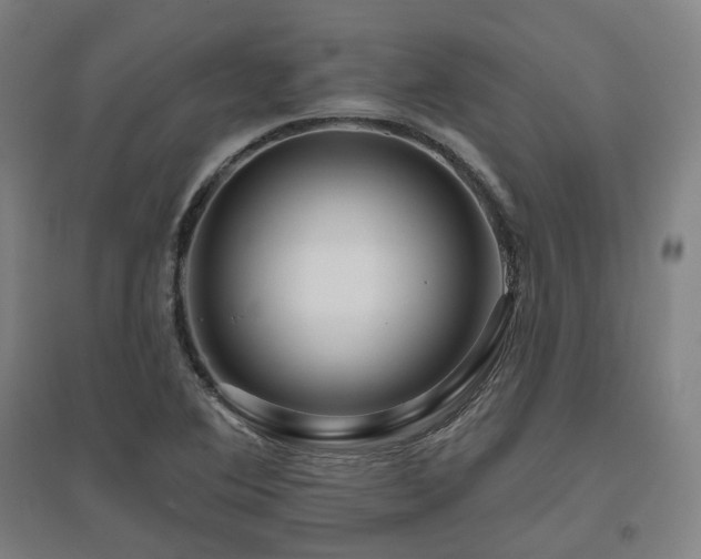 X0000095901364200801111159
