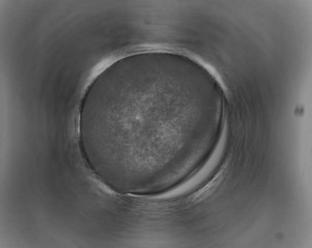 X0000095901365200801111159