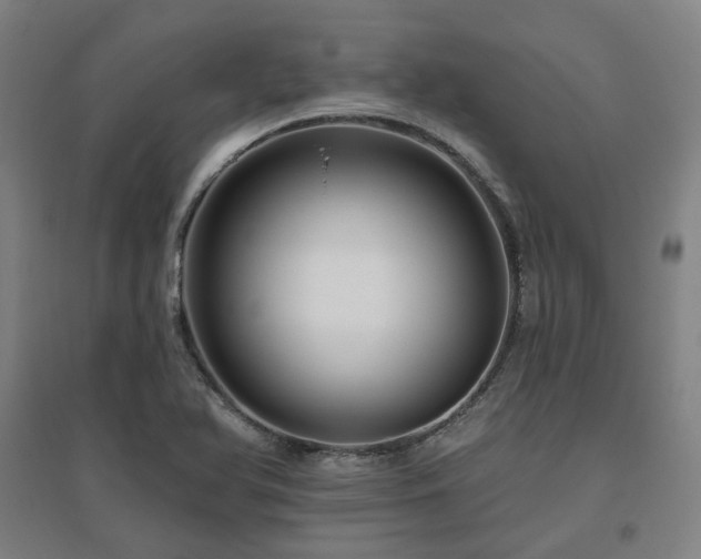 X0000095901366200801111159