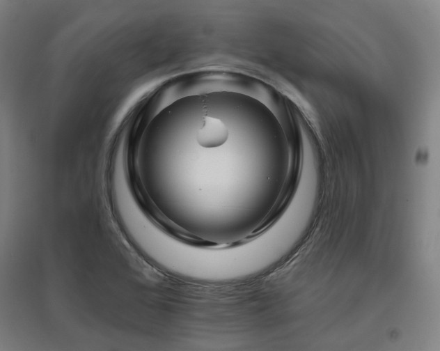 X0000095901368200801111159