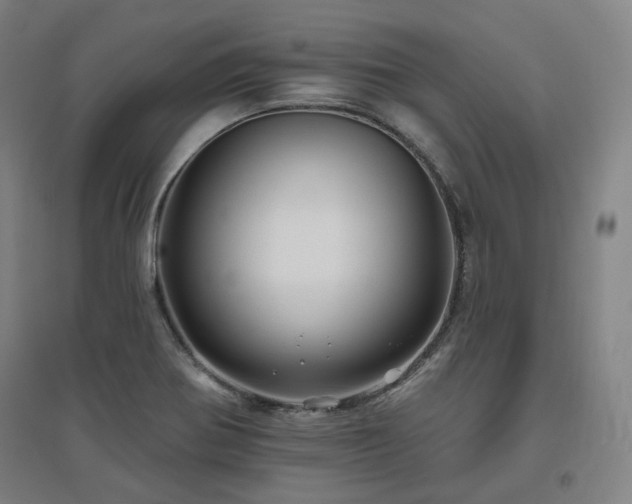 X0000095901370200801111159