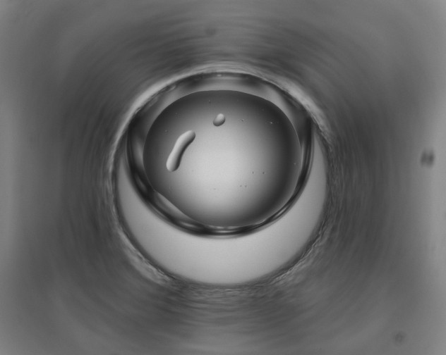X0000095901372200801111159