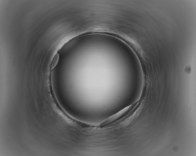 X0000095901374200801111159