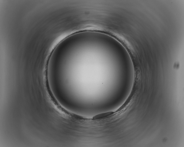 X0000095901375200801111159