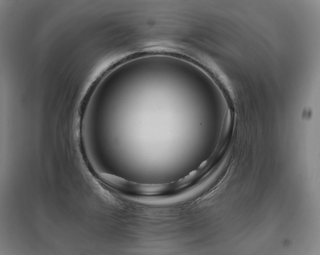 X0000095901376200801111159