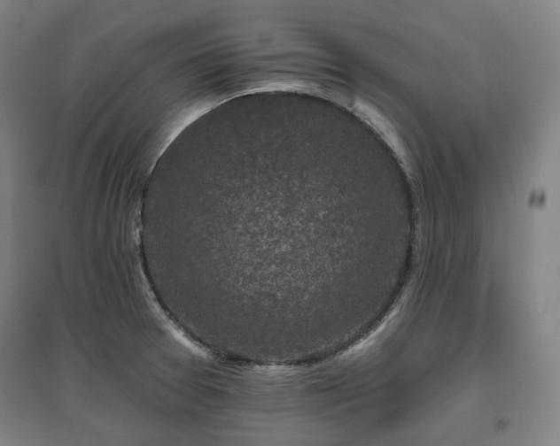 X0000095901377200801111159