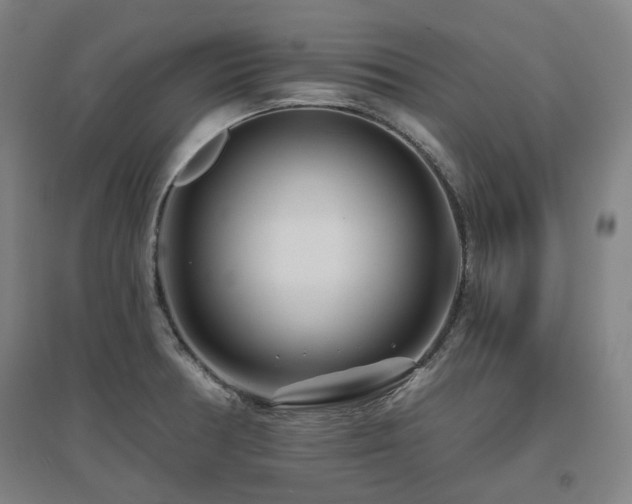 X0000095901378200801111159