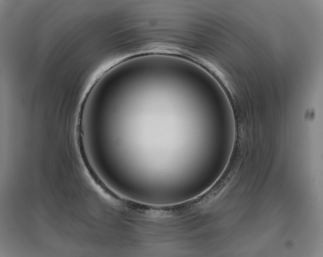 X0000095901379200801111159