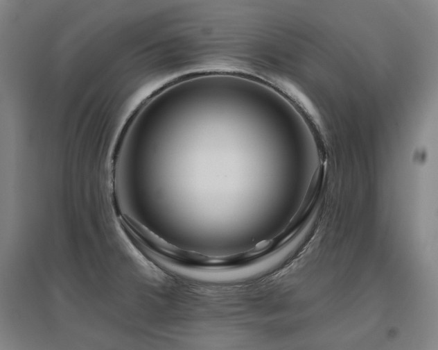 X0000095901380200801111159