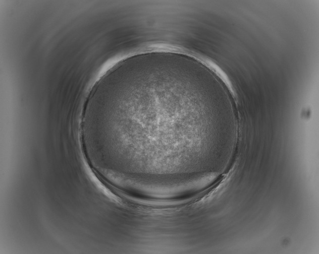 X0000095901381200801111159