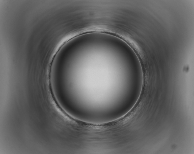 X0000095901382200801111159