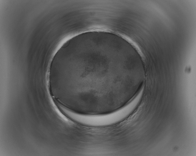 X0000095901383200801111159