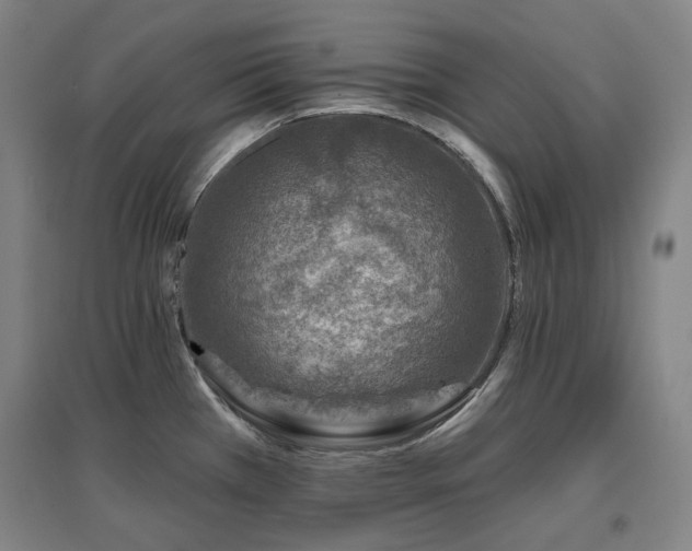 X0000095901385200801111159