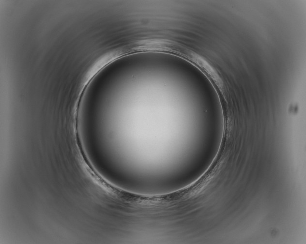 X0000095901386200801111159