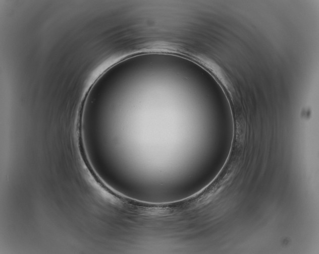 X0000095901387200801111159