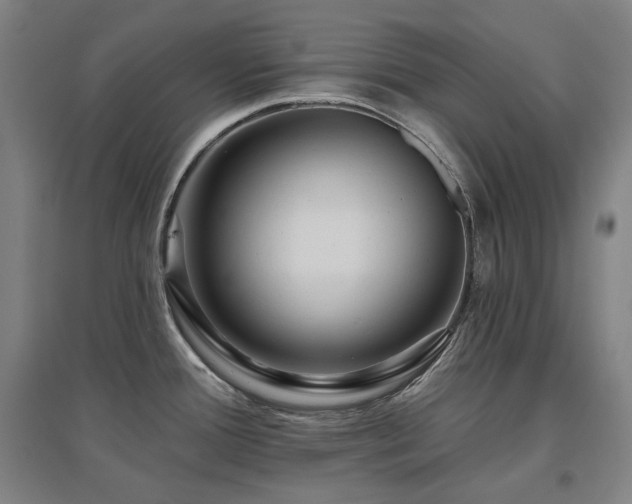 X0000095901388200801111159