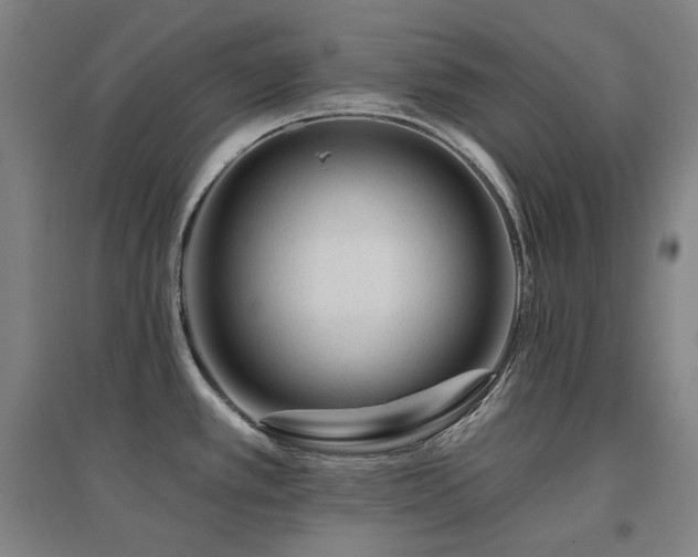 X0000095901389200801111159