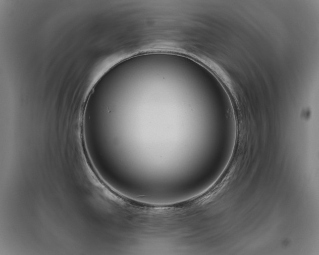 X0000095901390200801111159