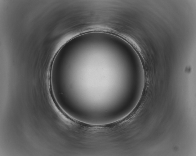 X0000095901391200801111159