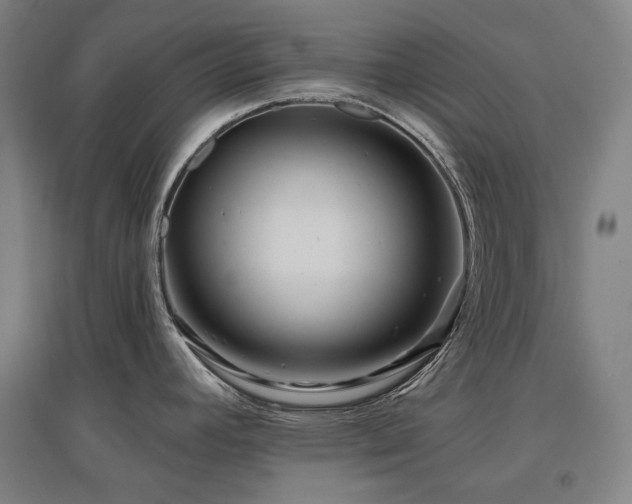 X0000095901392200801111159
