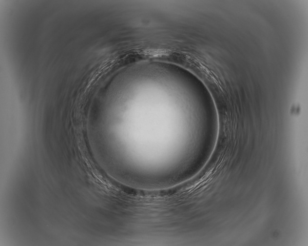 X0000095901393200801111158