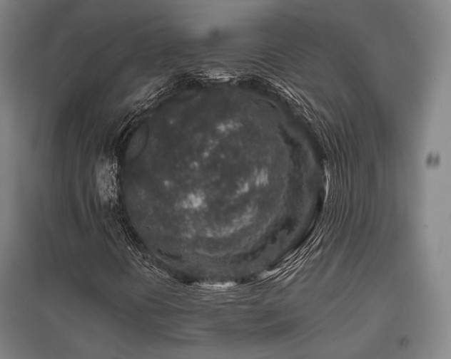 X0000095901394200801111158