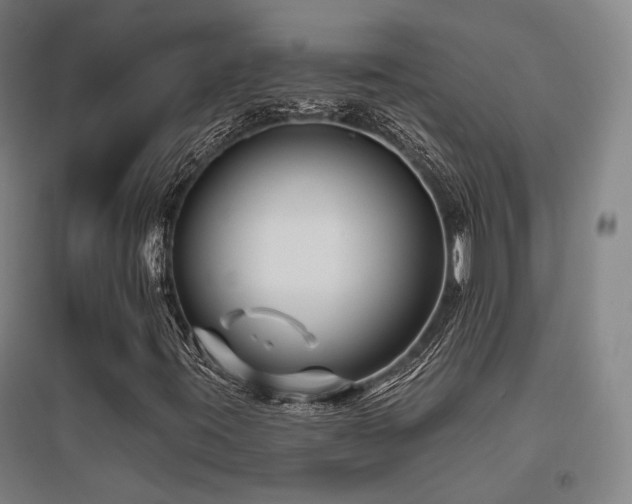 X0000095901395200801111158