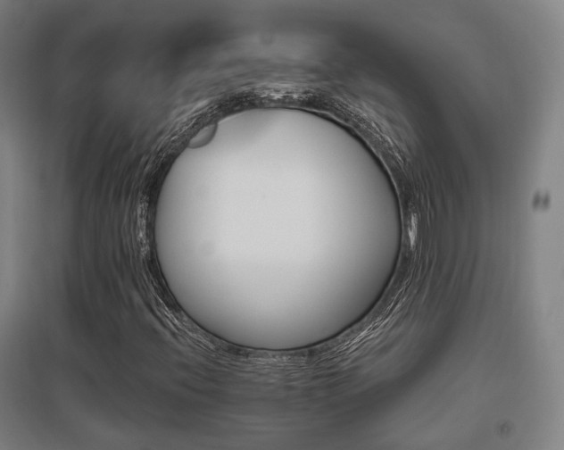 X0000095901396200801111158