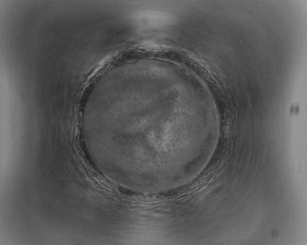 X0000095901397200801111158