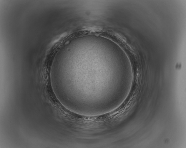 X0000095901398200801111158