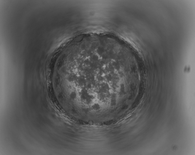X0000095901399200801111158