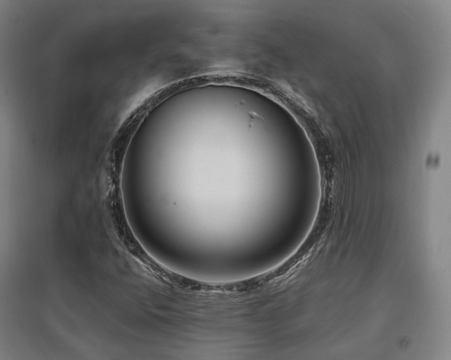 X0000095901400200801111158
