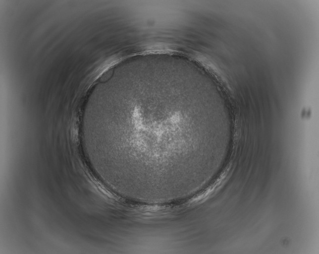 X0000095901401200801111158