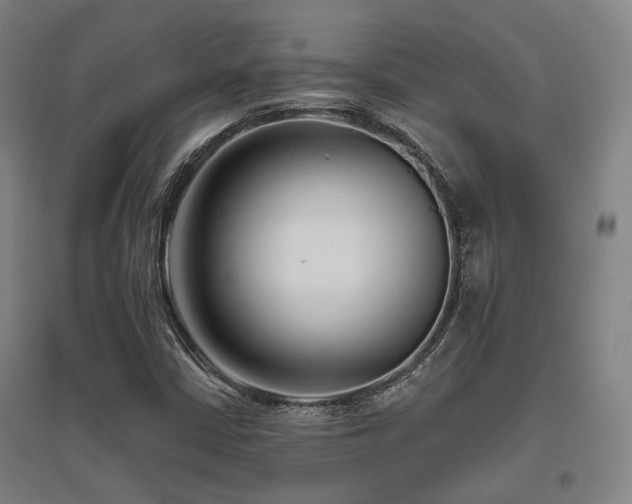 X0000095901402200801111158