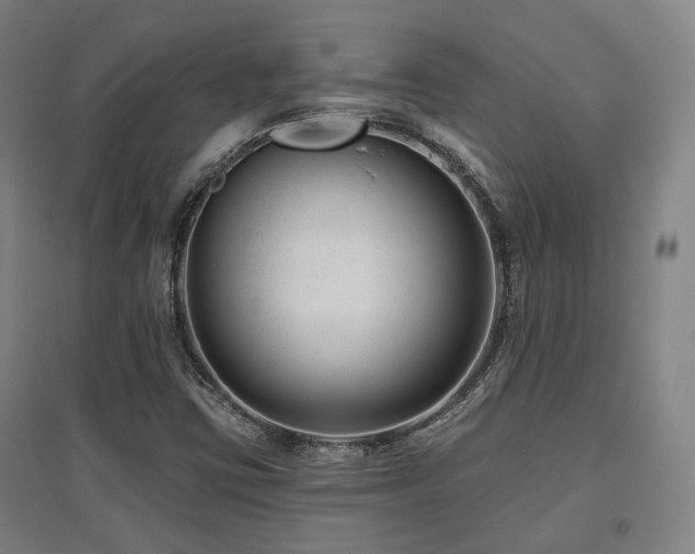 X0000095901403200801111158